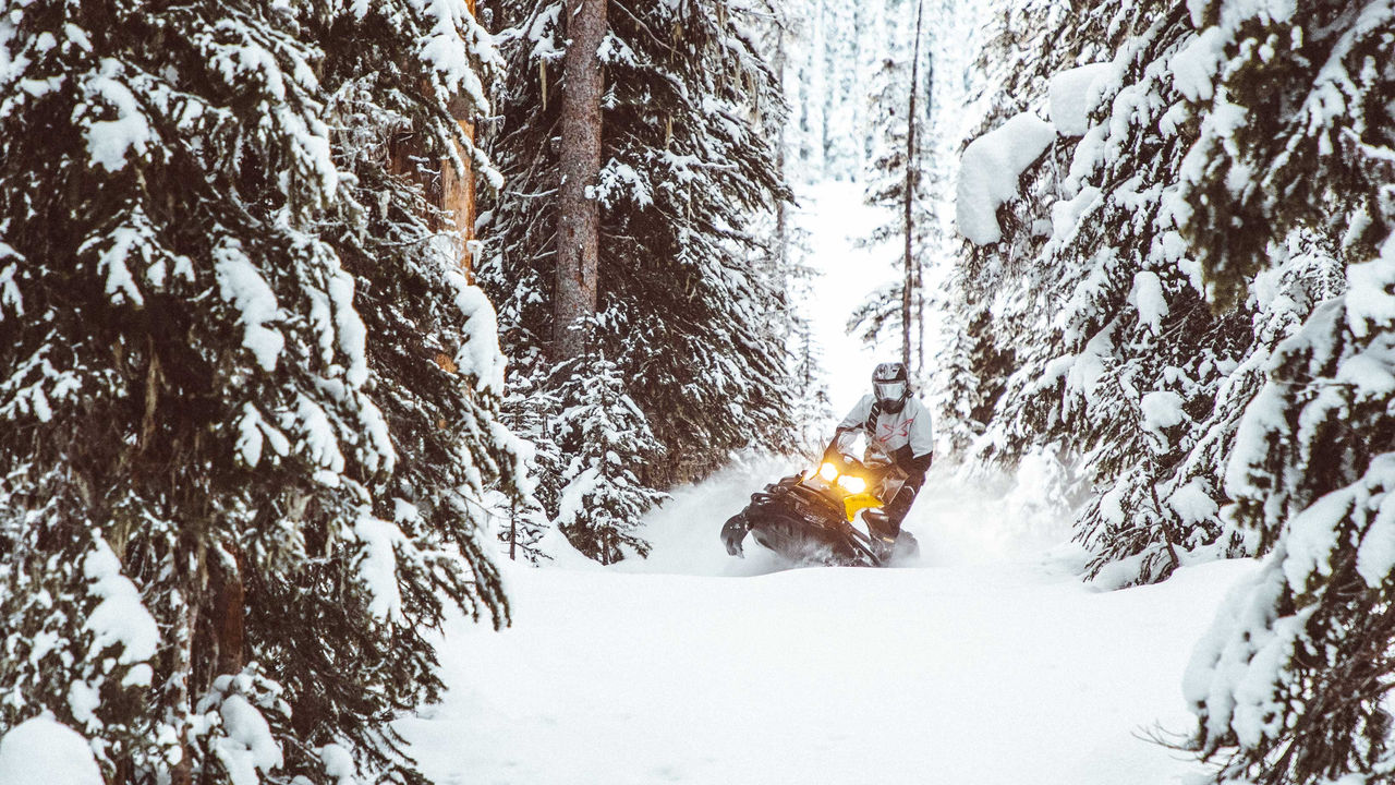 En man kör en Tundra i skogen