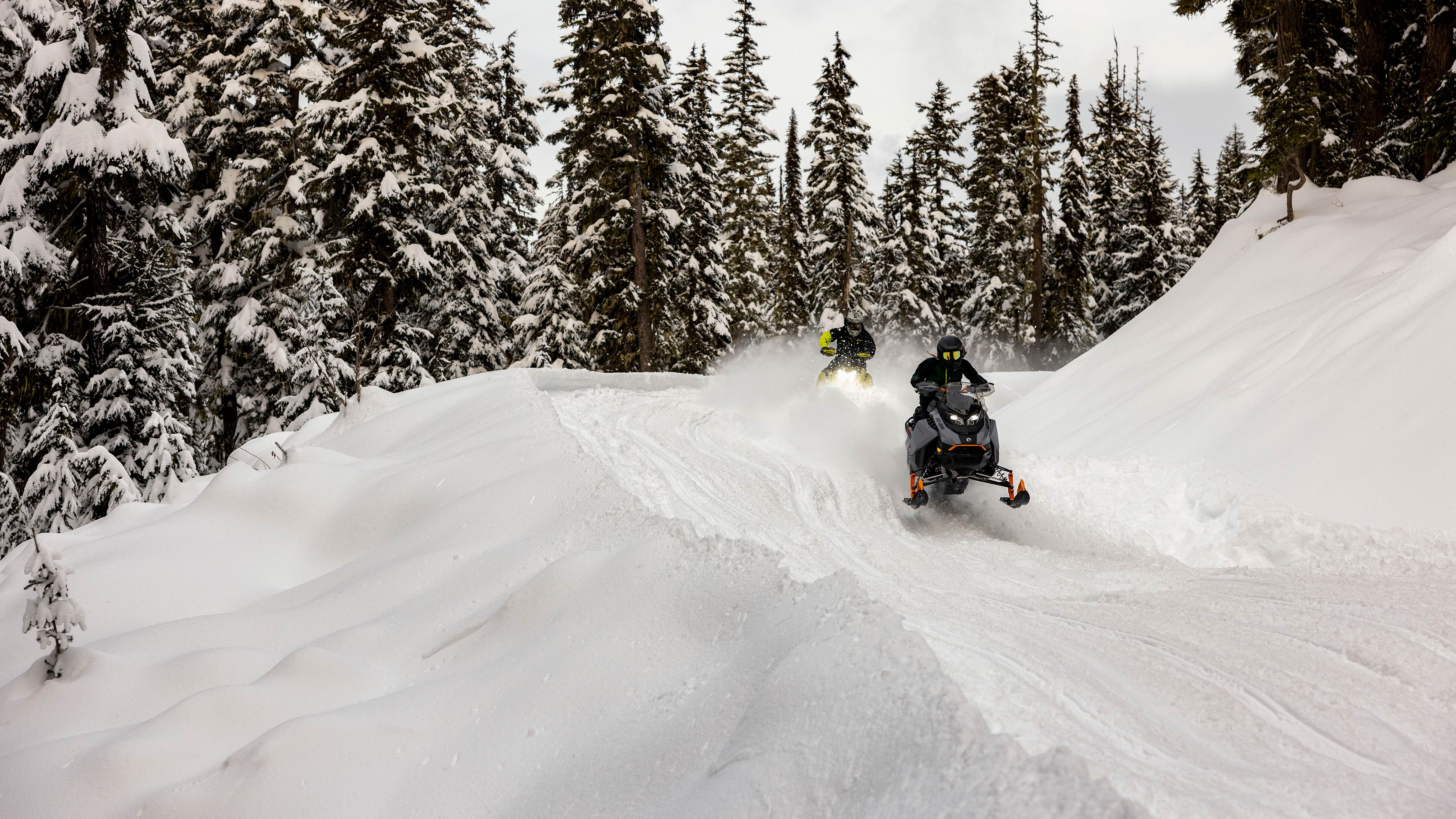 Deux motoneiges multi-segmet de Ski-Doo dans la neige profonde