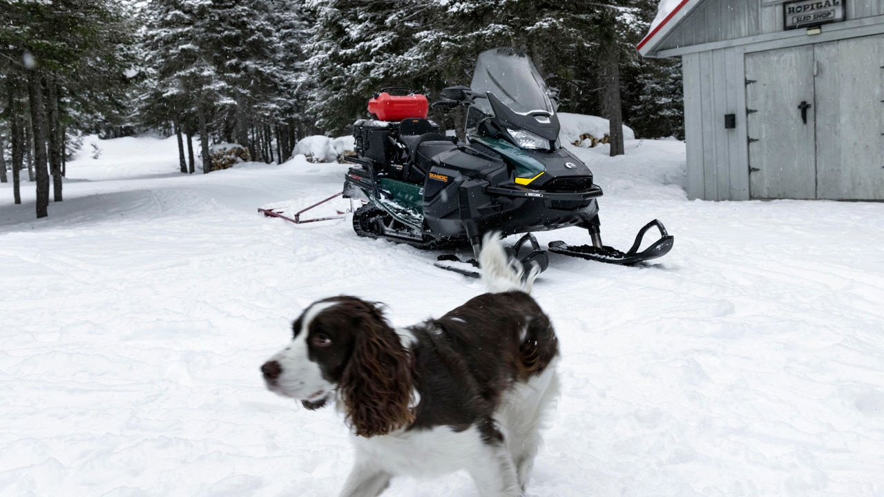 A dog in front of a Skandic SE snowmobile