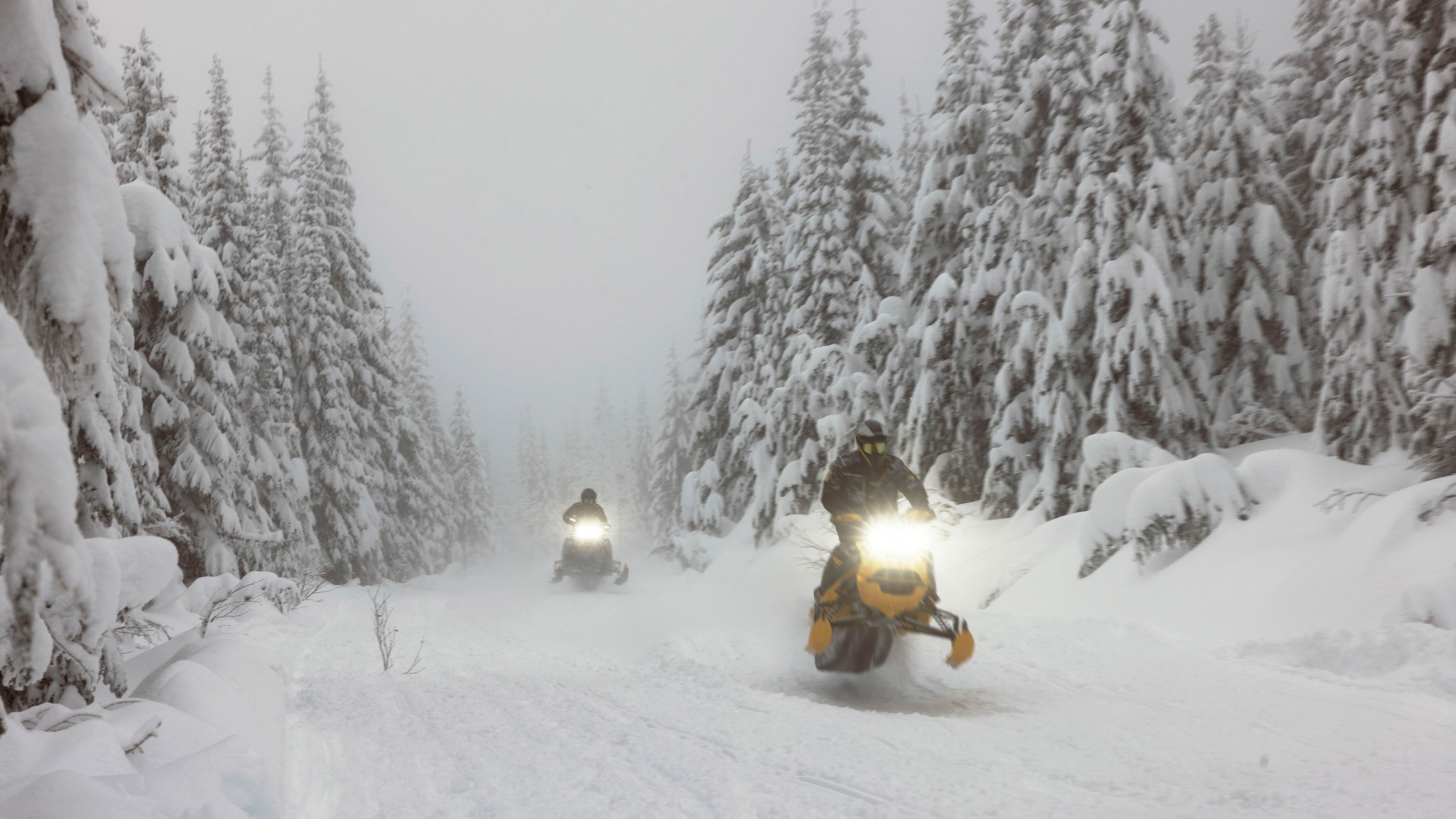 Ski-Doo riders on a snowy trail
