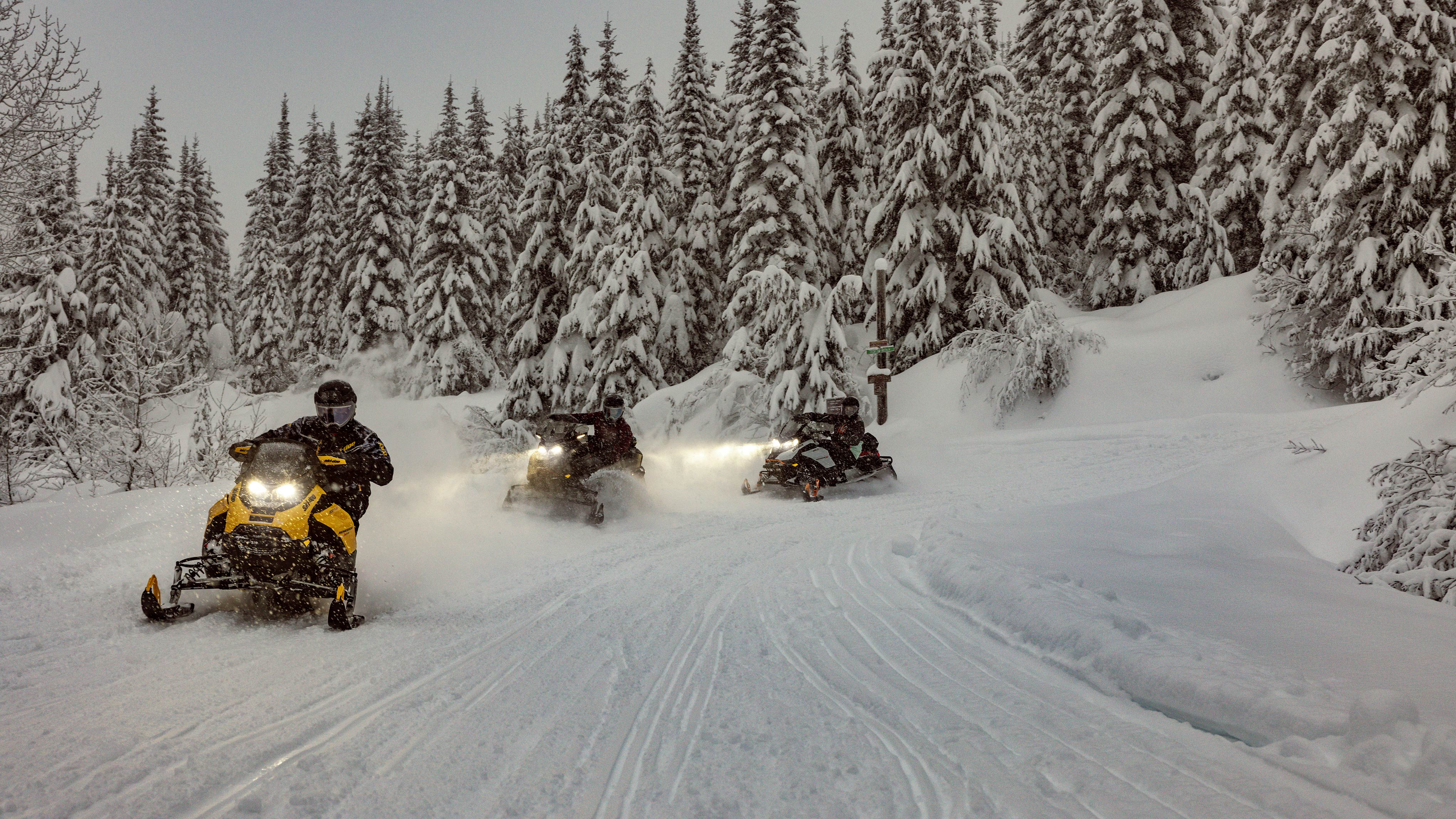 Trios of 2025 Ski-Doo Trail snowmobiles on a snowy trail