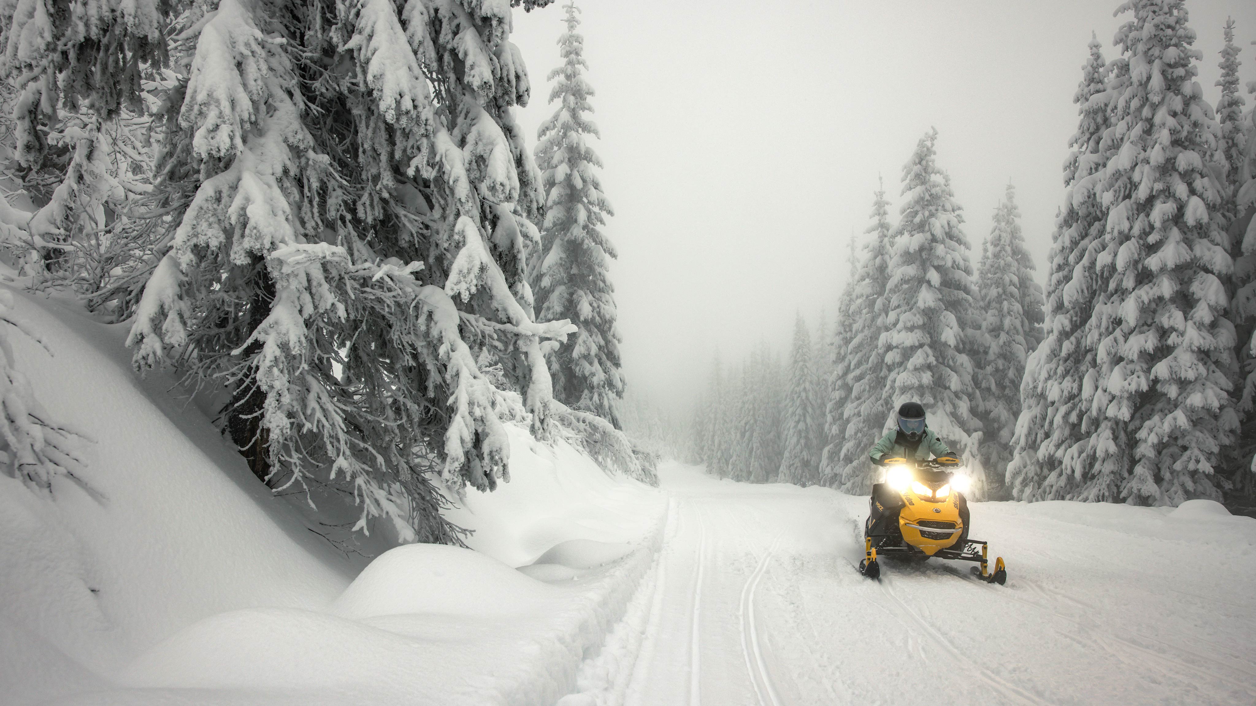 Motoneige de sentier Ski-Doo MXZ NEO 2025 dans le milieu d'une forêt enneigée