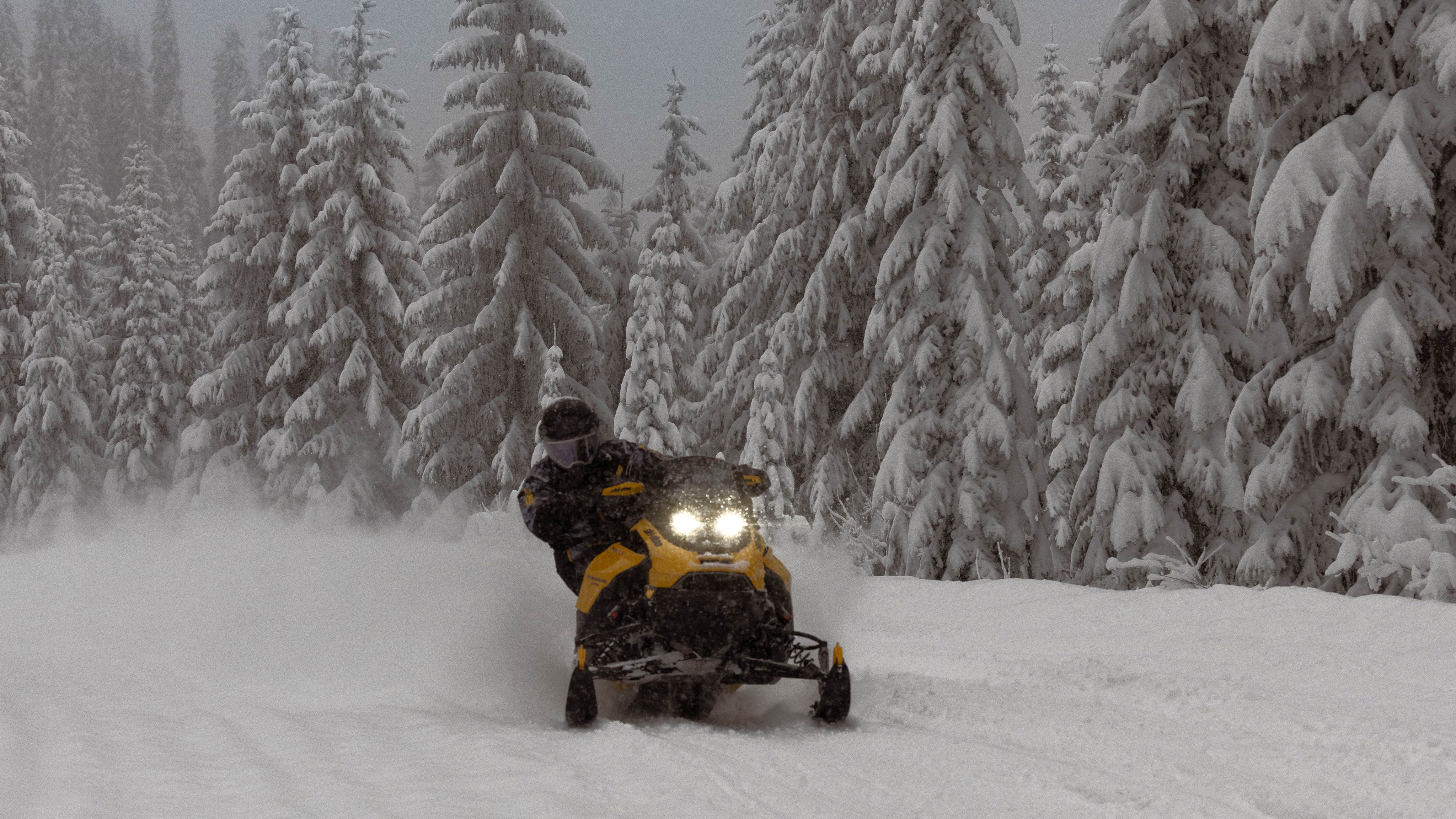 2025 Ski-Doo Renegade trail snowmobile riding in snowy conditions