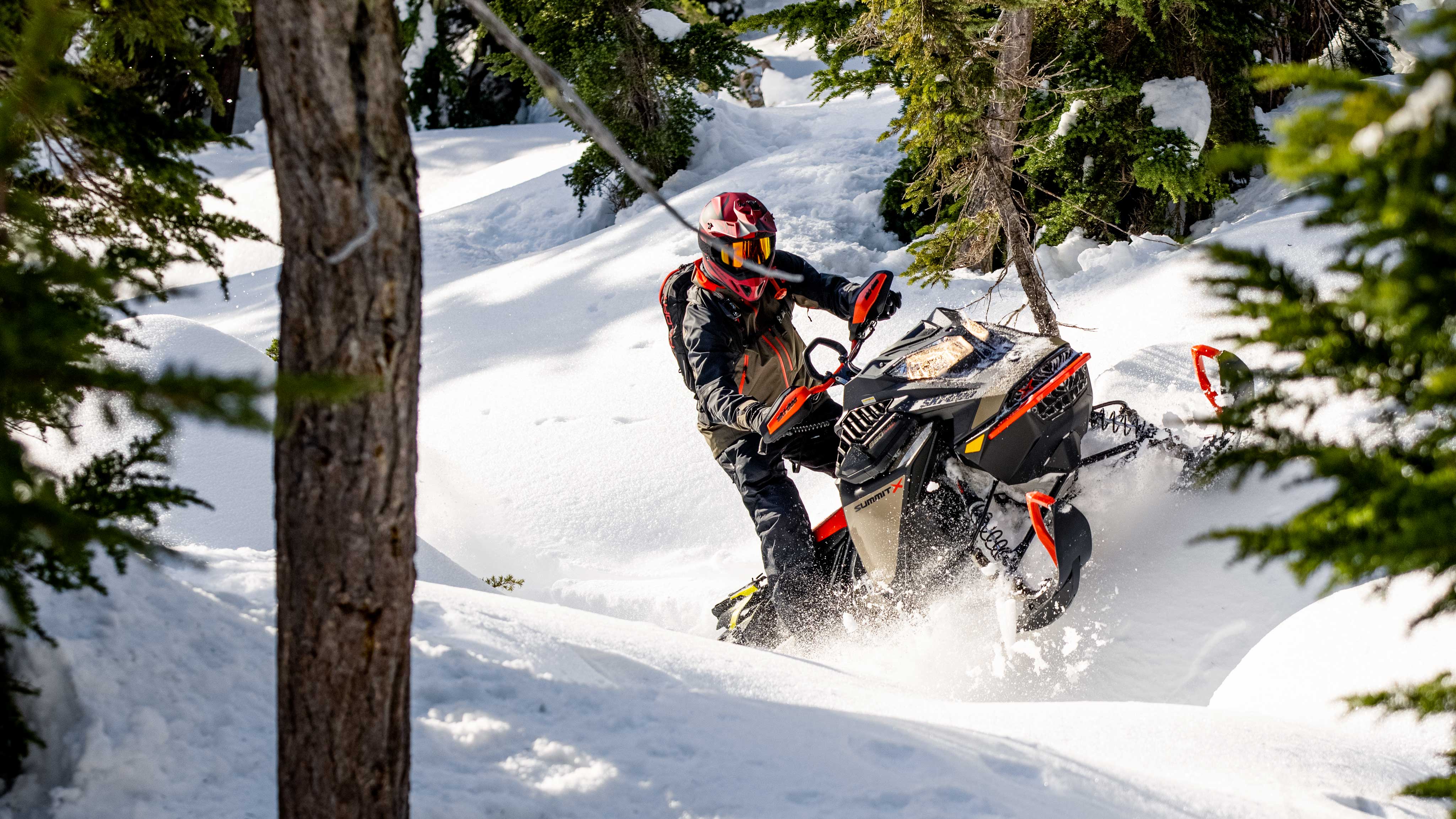 Man riding the new SKi-Doo Summit in forest