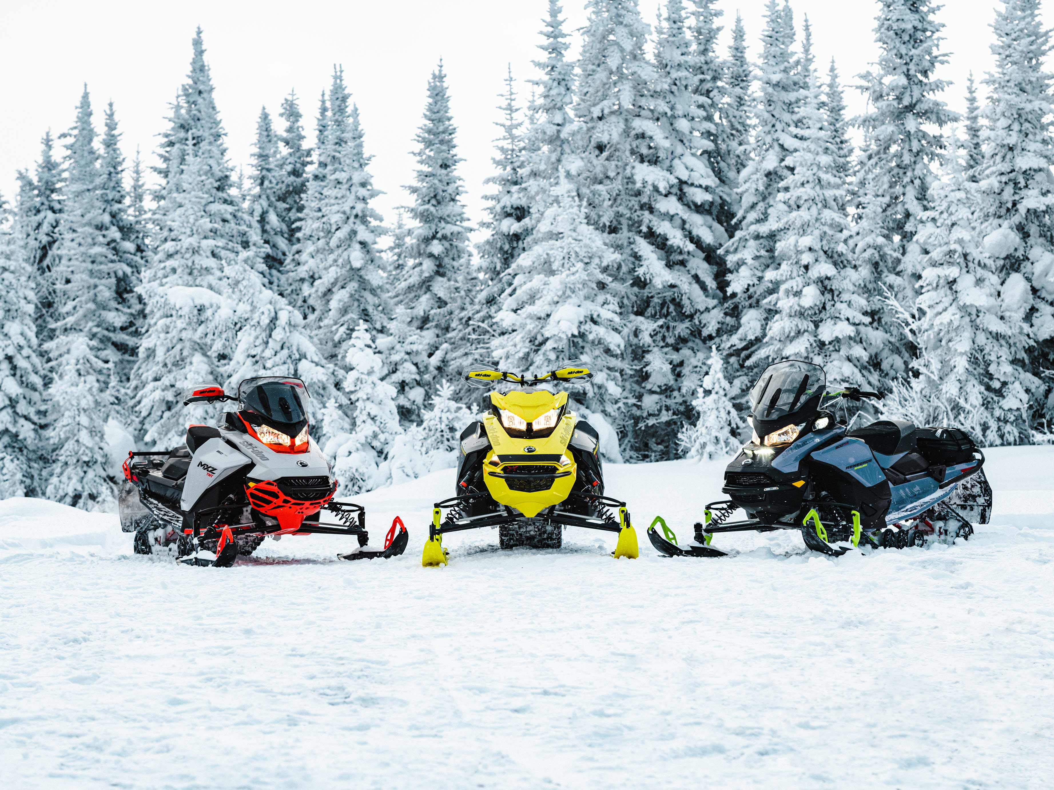 3 snowmobiles next to a forest with snow