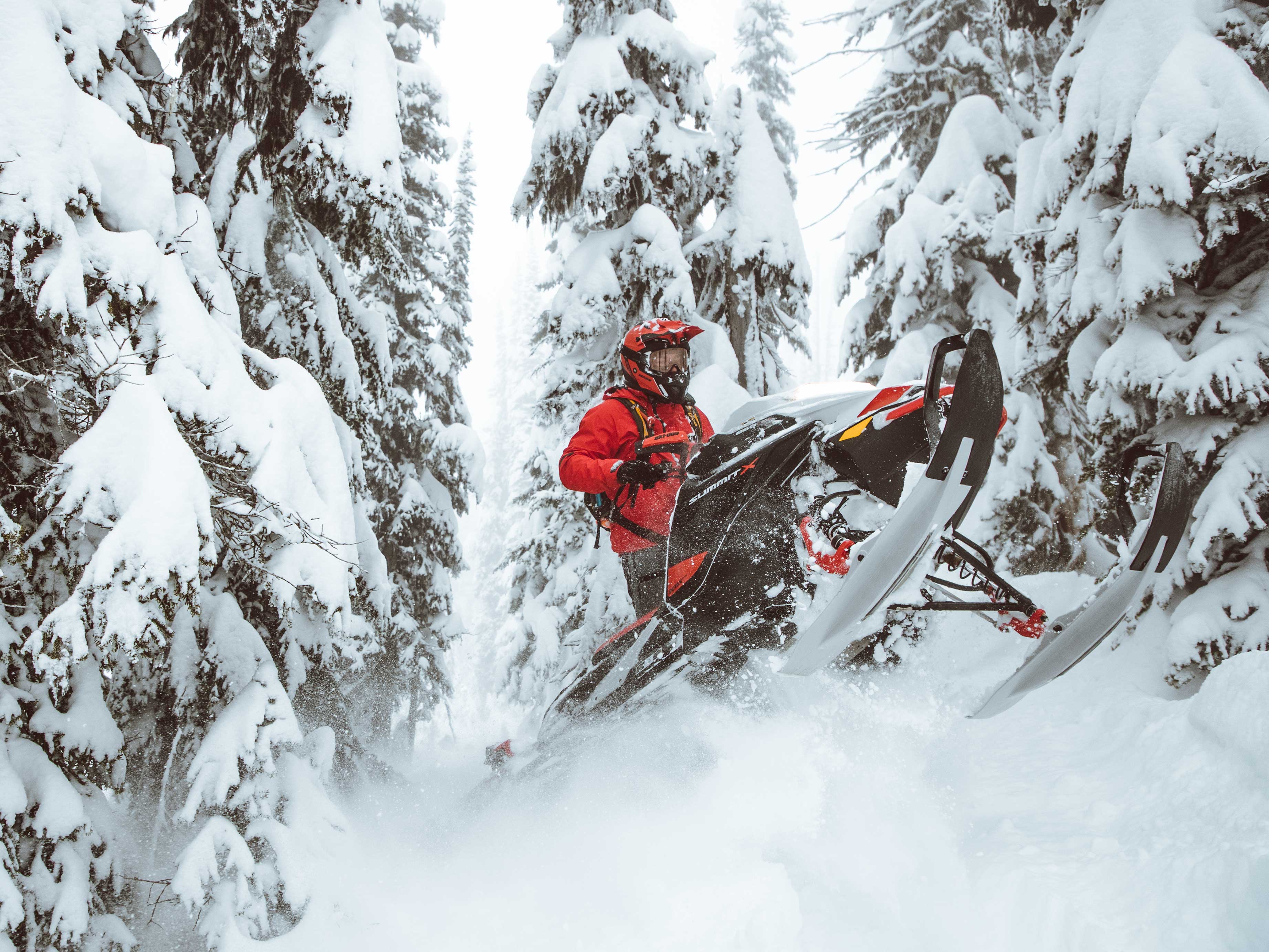 Tony Jenkins riding his Ski-Doo in a snowy forest