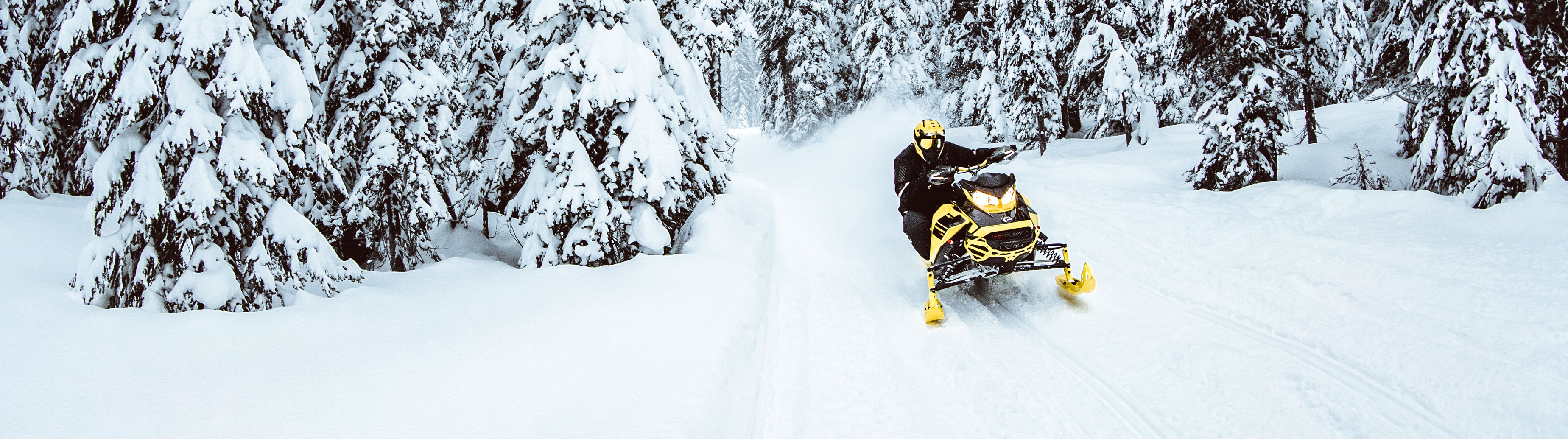 Man riding a snowmobile on a Trail