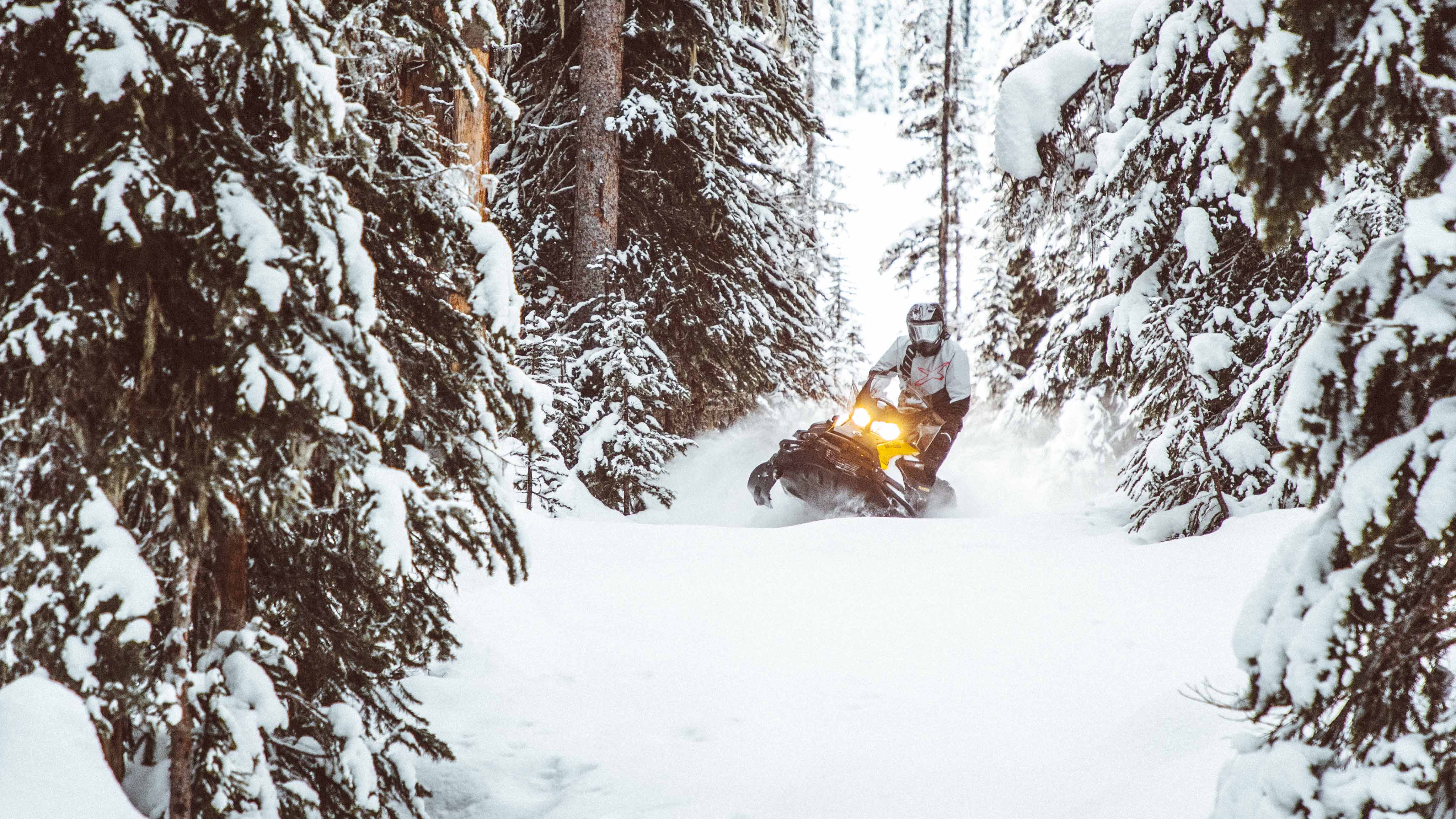Homme profitant de la stabilité de son Ski-Doo Tundra en forêt