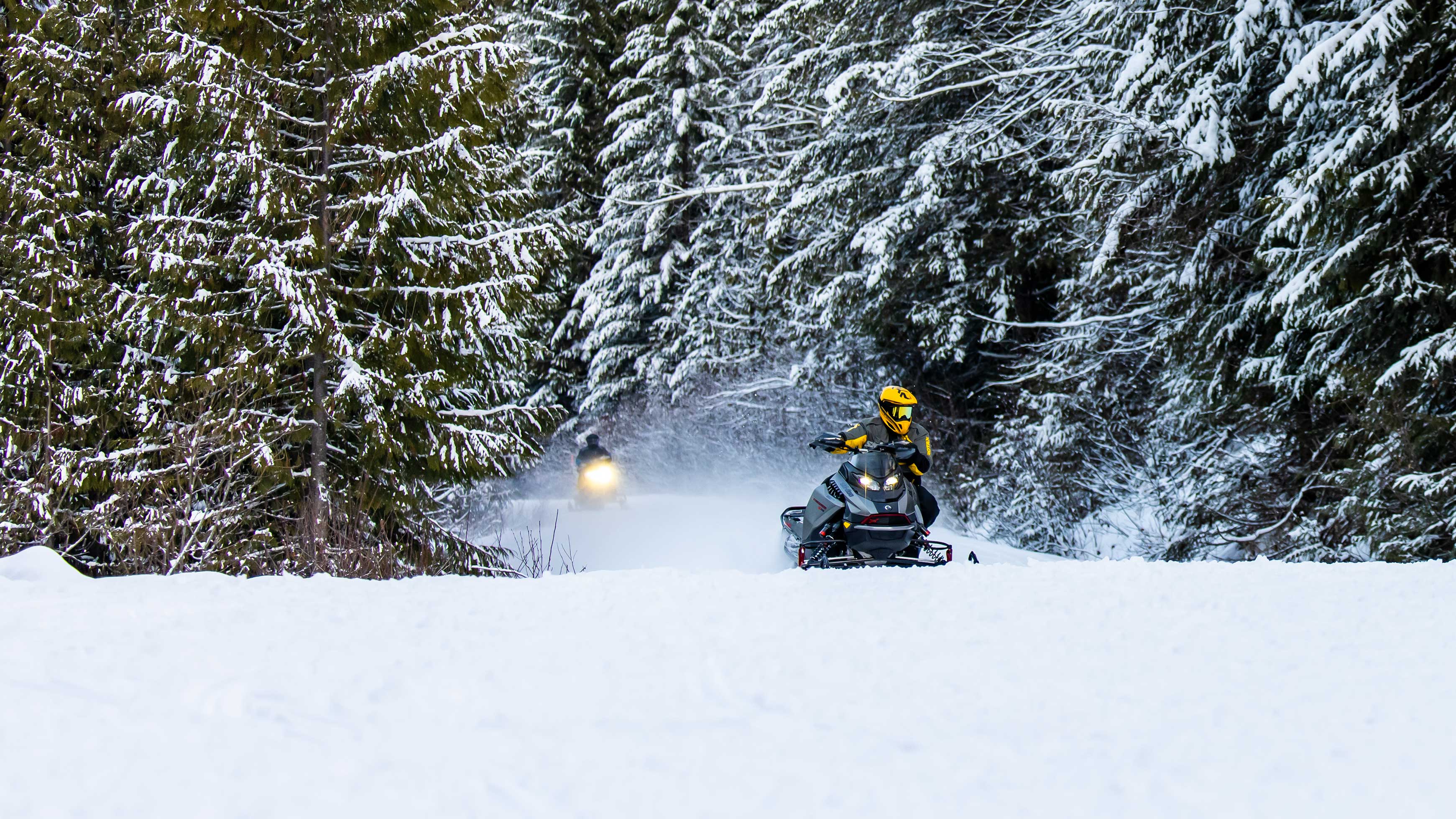 Ski-Doo kjører på en sti i en snødekt skog.